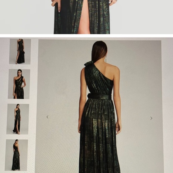 Retrofete Maxi Gown - Picture 3 of 6